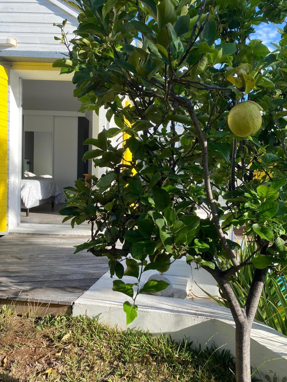 Villa Ylang Saint-Gilles Les Bains Exterior photo